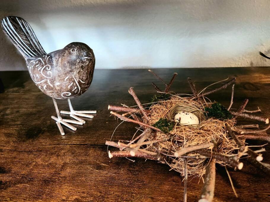 The Nest Downtown Dunedin No Kids, No Pets 外观 照片